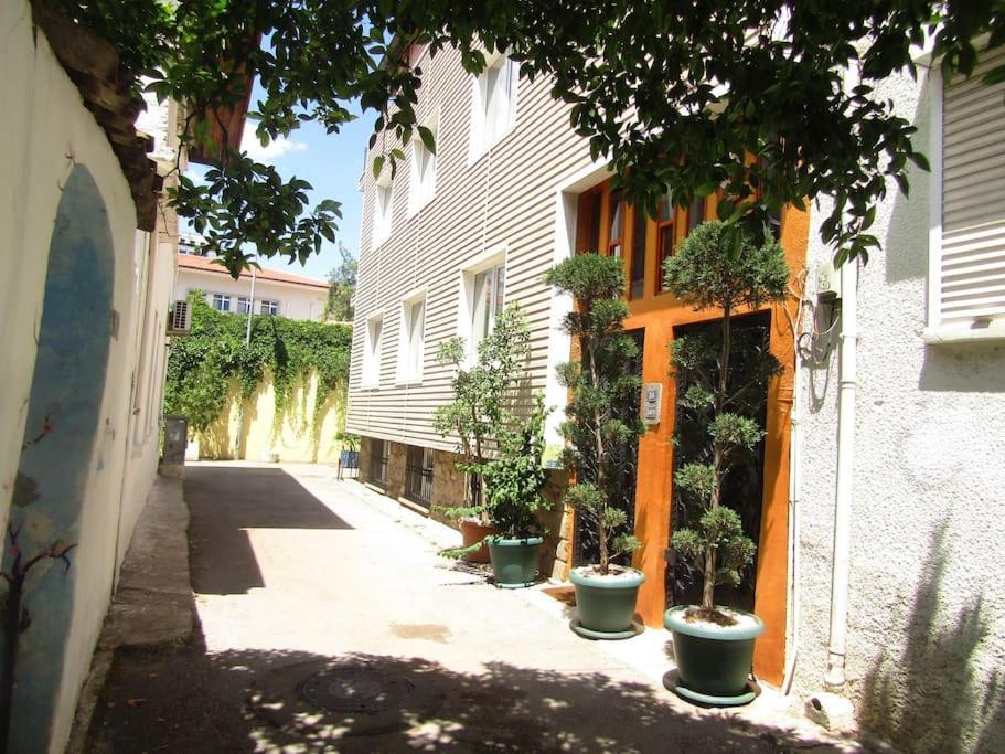 Homestay Kaleici Muhtesem Konum Deniz Yakini 1+0 Oezel Ev
